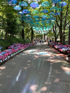 ムーミンバレーパークに投稿された画像（2025/6/23）