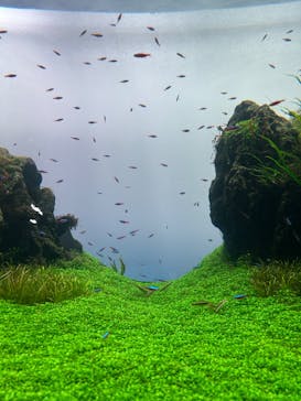 すみだ水族館に投稿された画像（2025/6/23）