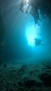 武藤潜水に投稿された画像（2025/6/23）