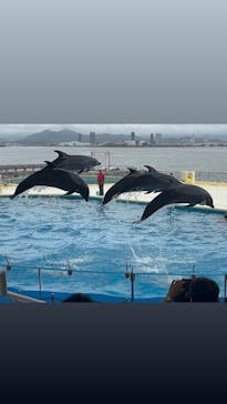 マリンワールド海の中道に投稿された画像（2025/6/23）