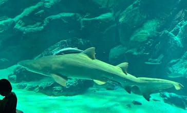 マリンワールド海の中道に投稿された画像（2025/6/23）