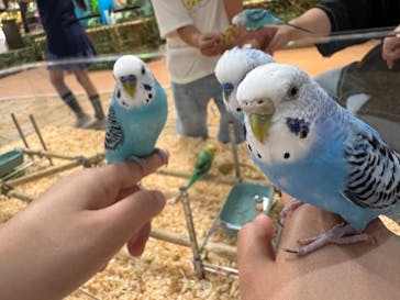 いきもの探検隊上尾に投稿された画像（2025/6/23）