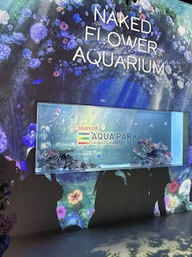 マクセル アクアパーク品川に投稿された画像（2025/6/23）