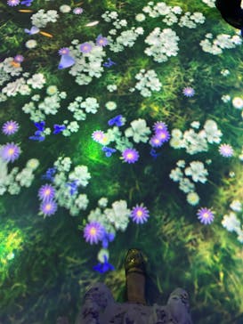 マクセル アクアパーク品川に投稿された画像（2025/6/23）