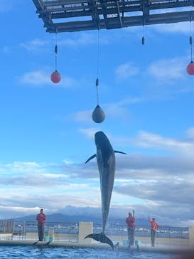 マリンワールド海の中道に投稿された画像（2025/6/23）