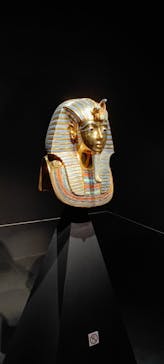 MYSTERY OF TUTANKHAMEN 体感型古代エジプト展に投稿された画像（2025/6/23）