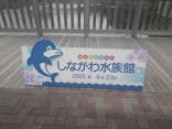 しながわ水族館に投稿された画像（2025/6/23）