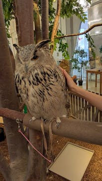 Moff animal cafe イオンモール幕張新都心店に投稿された画像（2025/6/23）