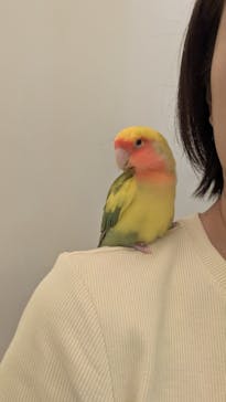 Moff animal cafe イオンモール幕張新都心店に投稿された画像（2025/6/23）