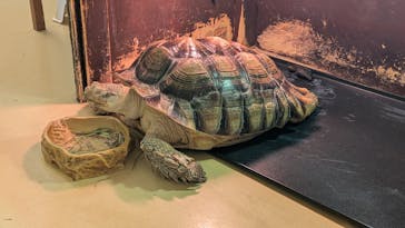 Moff animal cafe イオンモール幕張新都心店に投稿された画像（2025/6/23）