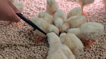 Moff animal cafe イオンモール幕張新都心店に投稿された画像（2025/6/23）