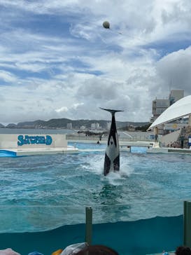 鴨川シーワールドに投稿された画像（2025/6/23）