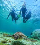 オースリーシュノーケル宮古島に投稿された画像（2025/6/23）