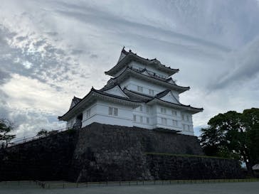 小田原城に投稿された画像（2025/6/23）