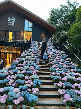 ムーミンバレーパークに投稿された画像（2025/6/23）