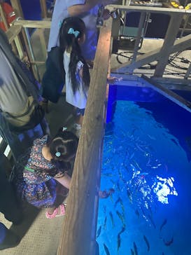 サンシャイン水族館に投稿された画像（2025/6/23）