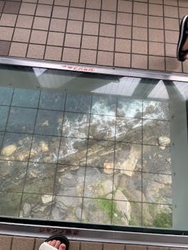 徳島県立 渦の道に投稿された画像（2025/6/23）