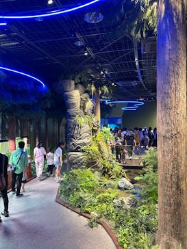 マリンワールド海の中道に投稿された画像（2025/6/23）