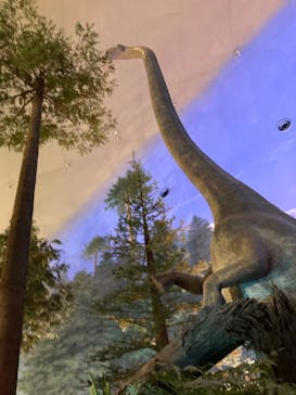 福井県立恐竜博物館に投稿された画像（2025/6/23）