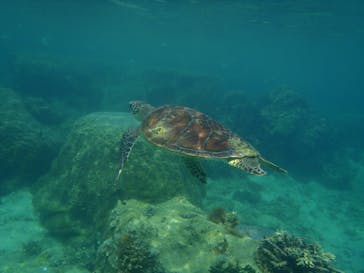 マリンカンパニーに投稿された画像（2025/6/23）