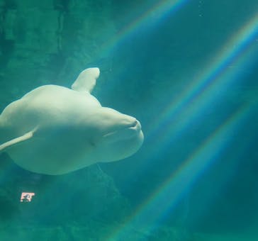 名古屋港水族館に投稿された画像（2025/6/23）