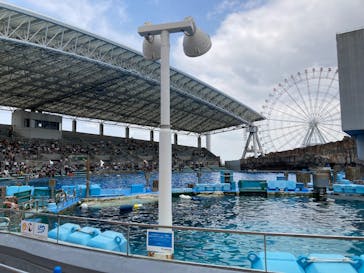 名古屋港水族館に投稿された画像（2025/6/23）