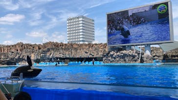 名古屋港水族館に投稿された画像（2025/6/23）