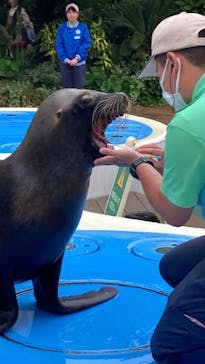サンシャイン水族館に投稿された画像（2025/6/23）