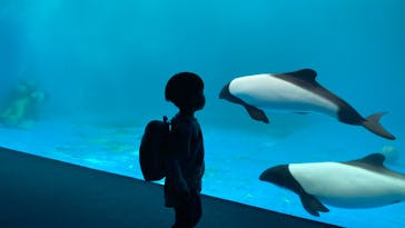 仙台うみの杜水族館に投稿された画像（2025/6/23）