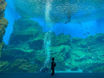 仙台うみの杜水族館に投稿された画像（2025/6/23）