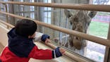 日立市かみね動物園に投稿された画像（2025/6/23）