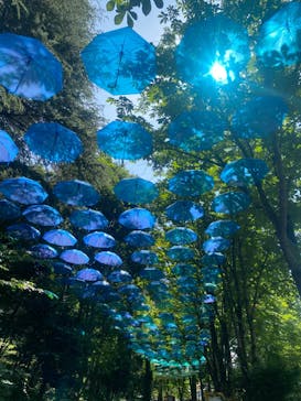 ムーミンバレーパークに投稿された画像（2025/6/23）