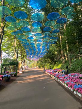 ムーミンバレーパークに投稿された画像（2025/6/23）