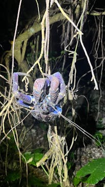 宮古島マリンショップSmileyに投稿された画像（2025/6/23）