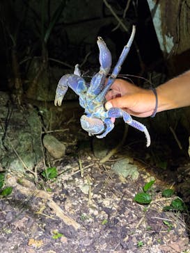 宮古島マリンショップSmileyに投稿された画像（2025/6/23）