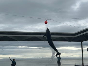 上越市立水族博物館 うみがたりに投稿された画像（2025/6/23）