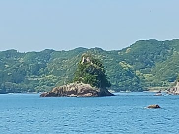 紀の松島めぐりに投稿された画像（2025/6/23）