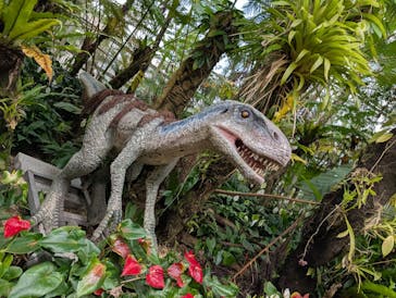 ナゴパイナップルパークに投稿された画像（2025/6/23）