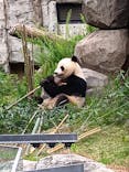 恩賜上野動物園に投稿された画像（2025/6/24）