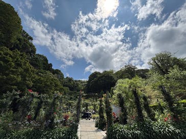 ACAO FORESTに投稿された画像（2025/6/23）