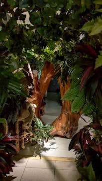 海洋堂ホビーランドに投稿された画像（2025/6/24）