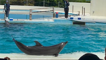 沖縄美ら海水族館に投稿された画像（2025/6/24）