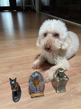 IMMERSIVE JOURNEYに投稿された画像（2025/6/24）