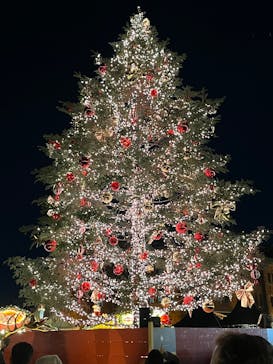 Christmas Market in 横浜赤レンガ倉庫 2025に投稿された画像（2025/6/24）