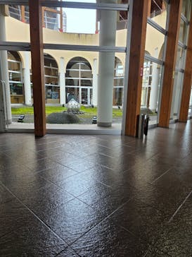 道の駅うつのみや ろまんちっく村 アグリスパに投稿された画像（2025/6/24）