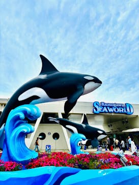 鴨川シーワールドに投稿された画像（2025/6/24）