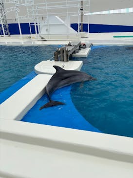 鴨川シーワールドに投稿された画像（2025/6/24）