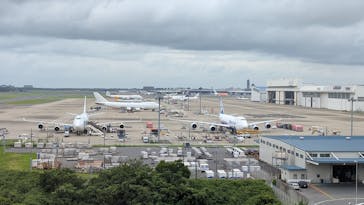 航空科学博物館に投稿された画像（2025/6/24）