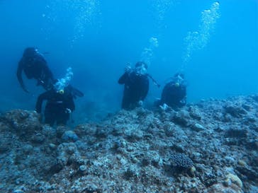 MARINE HOLICに投稿された画像（2025/6/24）