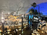 福井県立恐竜博物館に投稿された画像（2025/6/24）